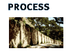 Process