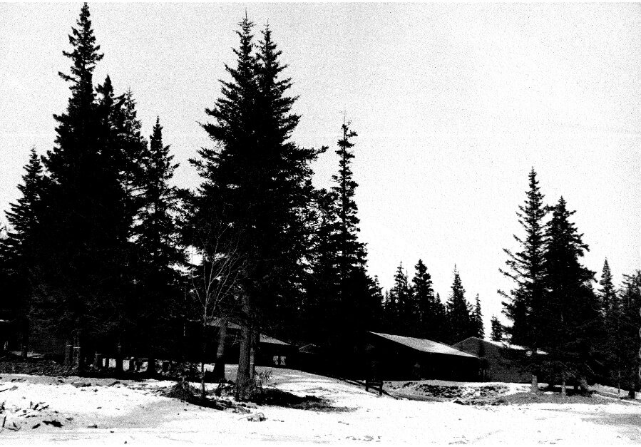 The school among the trees, black and white
