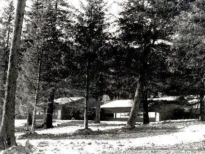 The school pavilions among the trees