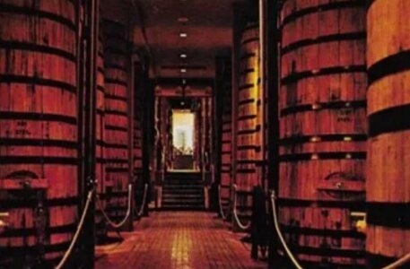 Wine barrels lining a passage inside the winery