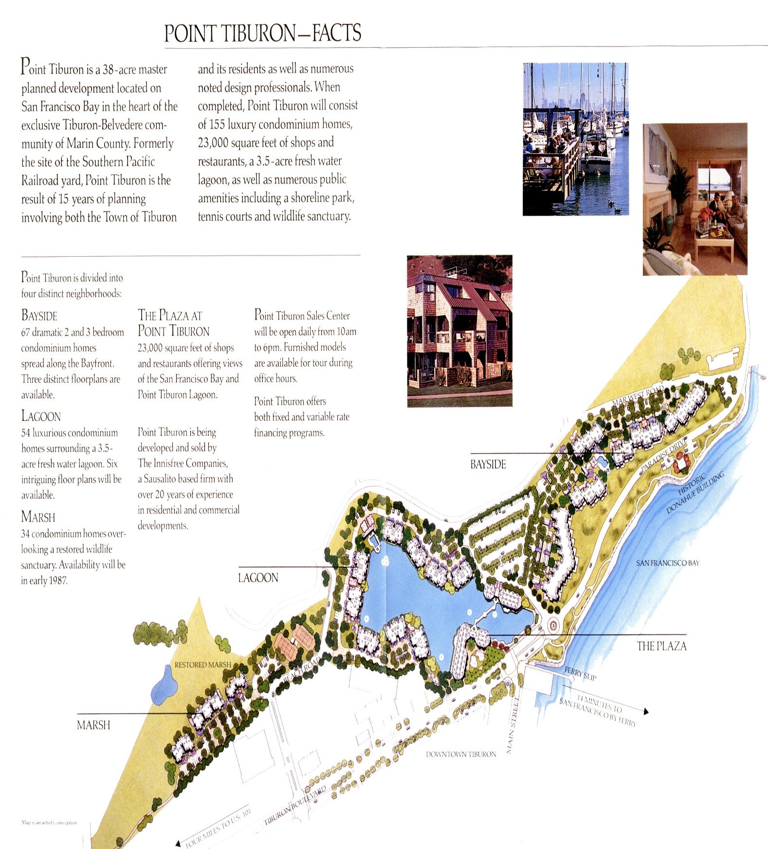Point Tiburon: Facts